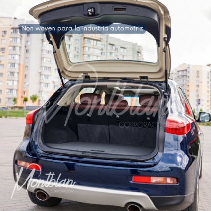 Non-woven-inds-automotriz